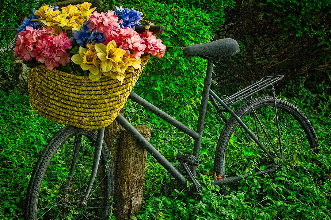 #4 Bike and Flowers.jpg