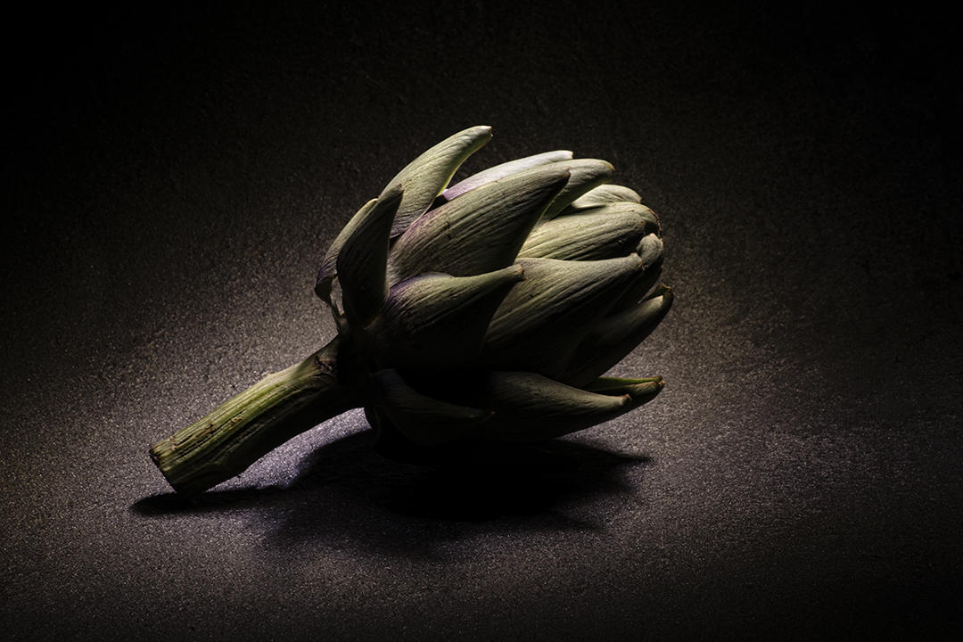 #3 Artichoke.jpg