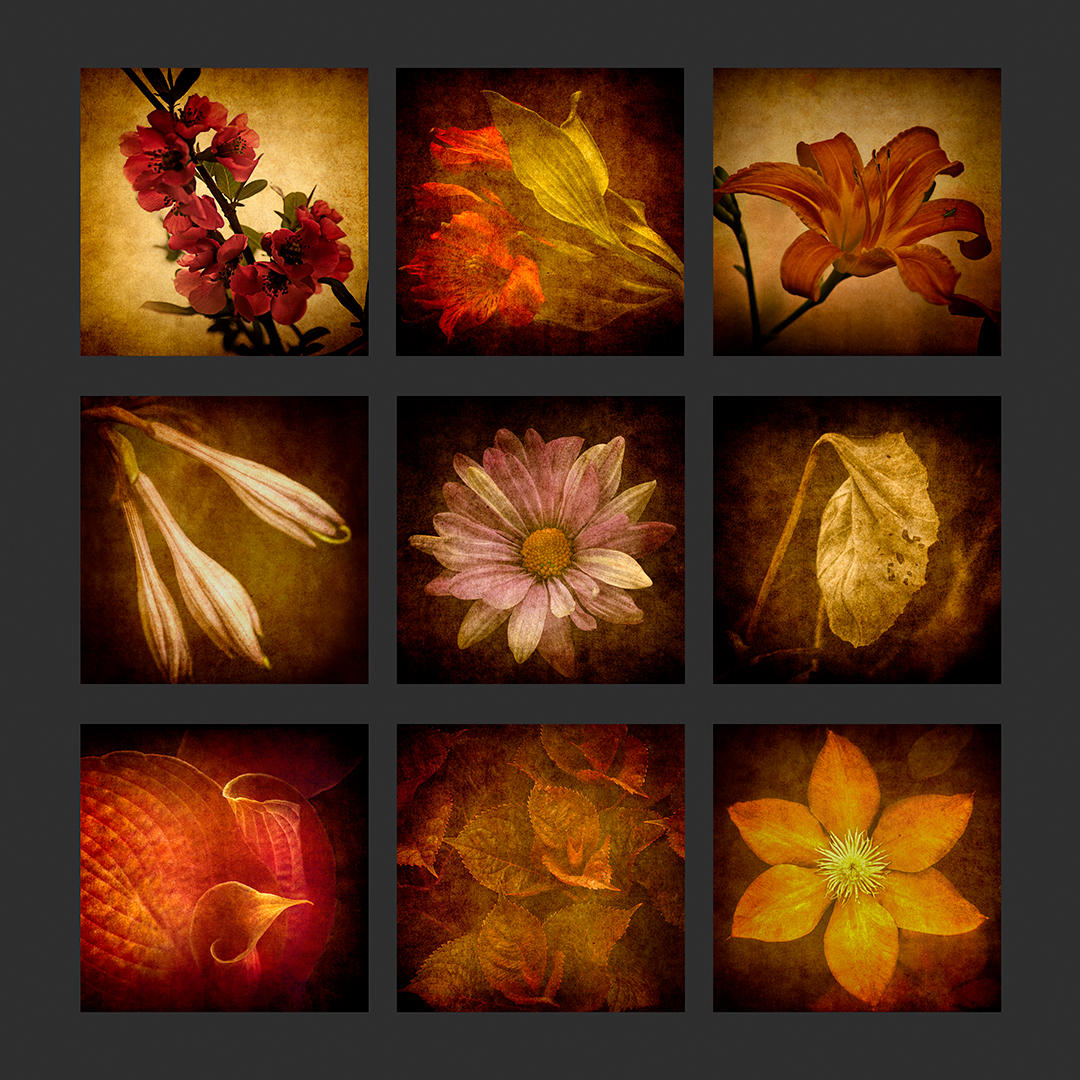 Flowers Grid